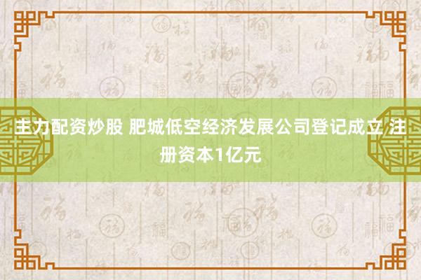 主力配资炒股 肥城低空经济发展公司登记成立 注册资本1亿元