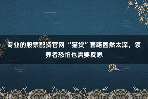 专业的股票配资官网 “猫贷”套路固然太深，领养者恐怕也需要反思