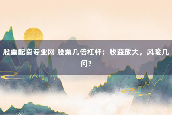 股票配资专业网 股票几倍杠杆：收益放大，风险几何？