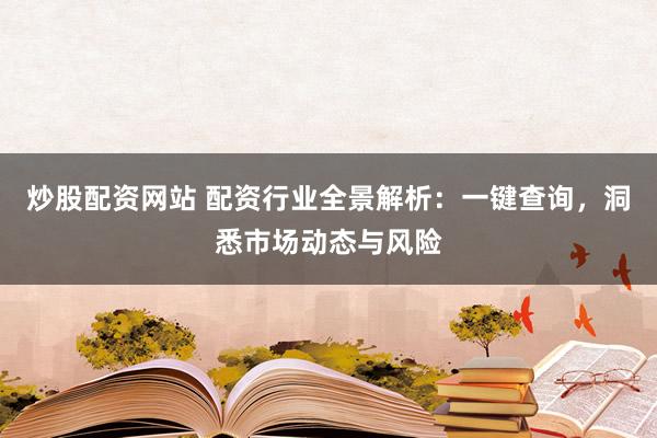 炒股配资网站 配资行业全景解析：一键查询，洞悉市场动态与风险
