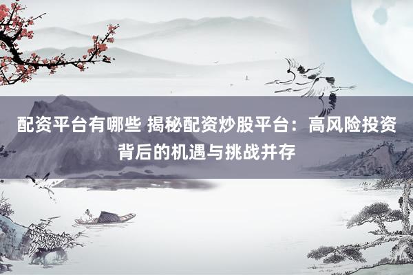 配资平台有哪些 揭秘配资炒股平台：高风险投资背后的机遇与挑战并存