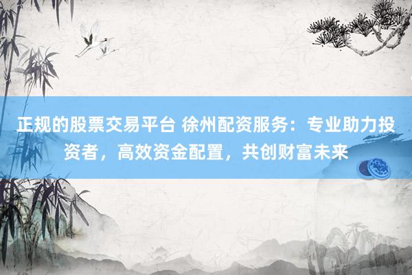 正规的股票交易平台 徐州配资服务：专业助力投资者，高效资金配置，共创财富未来