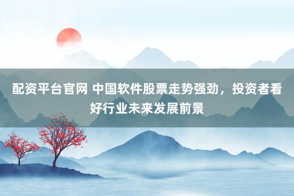配资平台官网 中国软件股票走势强劲，投资者看好行业未来发展前景