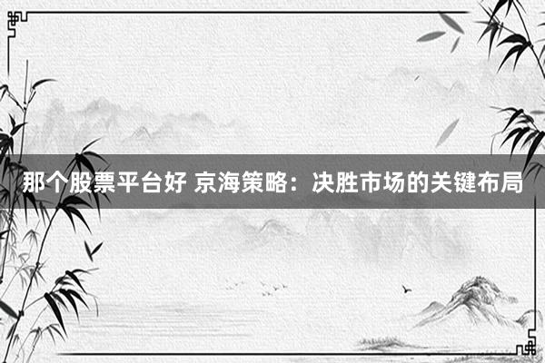 那个股票平台好 京海策略：决胜市场的关键布局