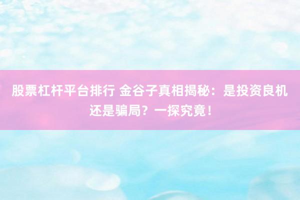 股票杠杆平台排行 金谷子真相揭秘：是投资良机还是骗局？一探究竟！