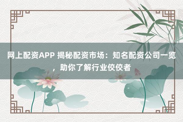 网上配资APP 揭秘配资市场：知名配资公司一览，助你了解行业佼佼者