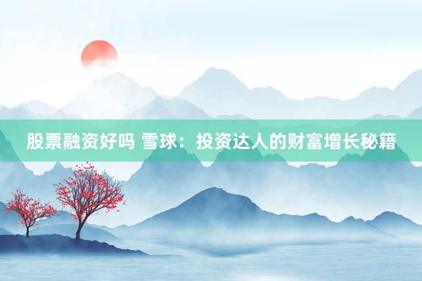 股票融资好吗 雪球:投资达人的财富增长秘籍