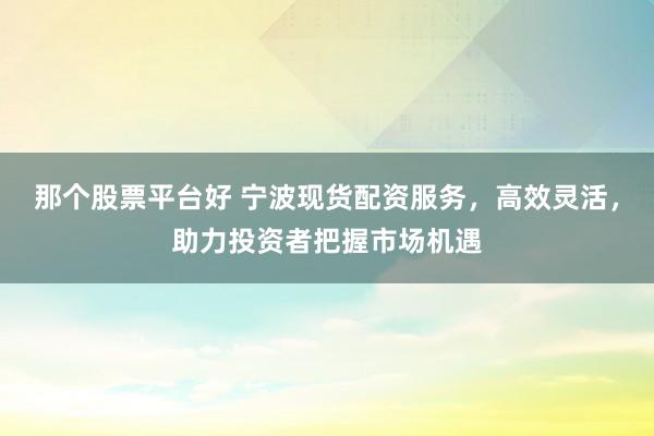 那个股票平台好 宁波现货配资服务,高效灵活,助力投资者把握市场机遇