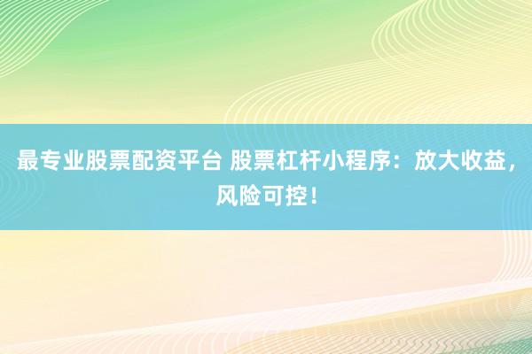 最专业股票配资平台 股票杠杆小程序：放大收益，风险可控！