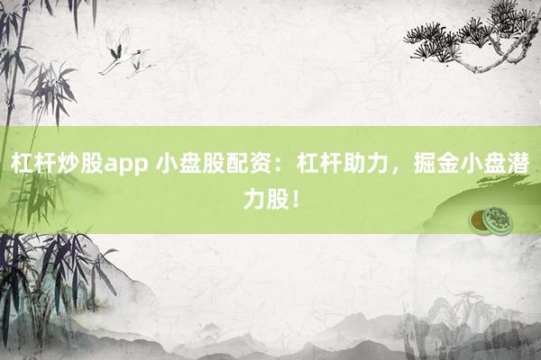 杠杆炒股app 小盘股配资：杠杆助力，掘金小盘潜力股！
